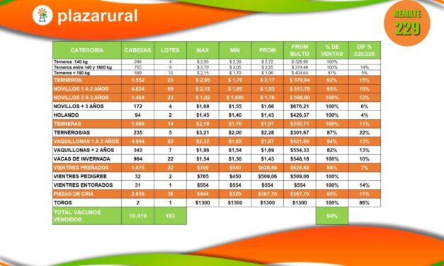 Plaza Rural 19.419 vacunos, colocación 94%