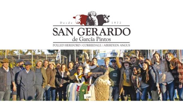 Corriedale Fino con Sangre de Campeones