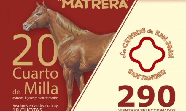 Remate Matrera y Estancia Santander 2021