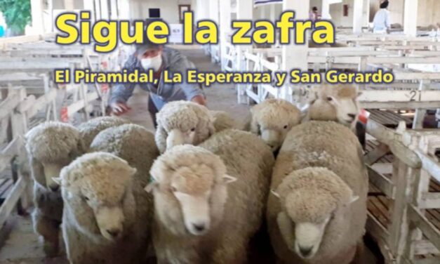 El Palenque Rural véalo y no se distraiga!!!