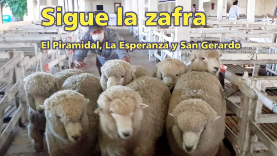 El Palenque Rural véalo y no se distraiga!!!