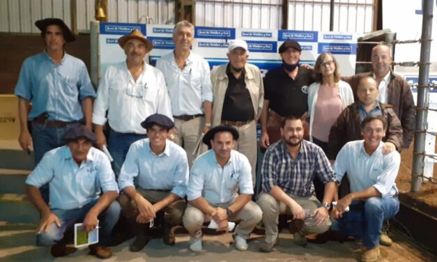 Remate El Arazá y Petra U$S 3.000 de máximo