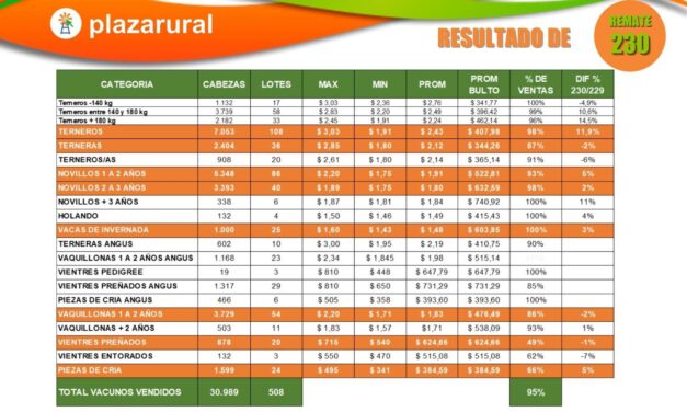 Remate Plaza Rural vendió 30.989 vacunos