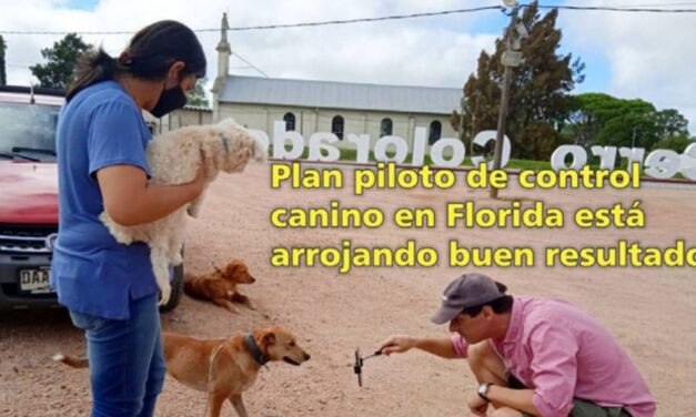 El Palenque Rural: Semanario Agropecuario