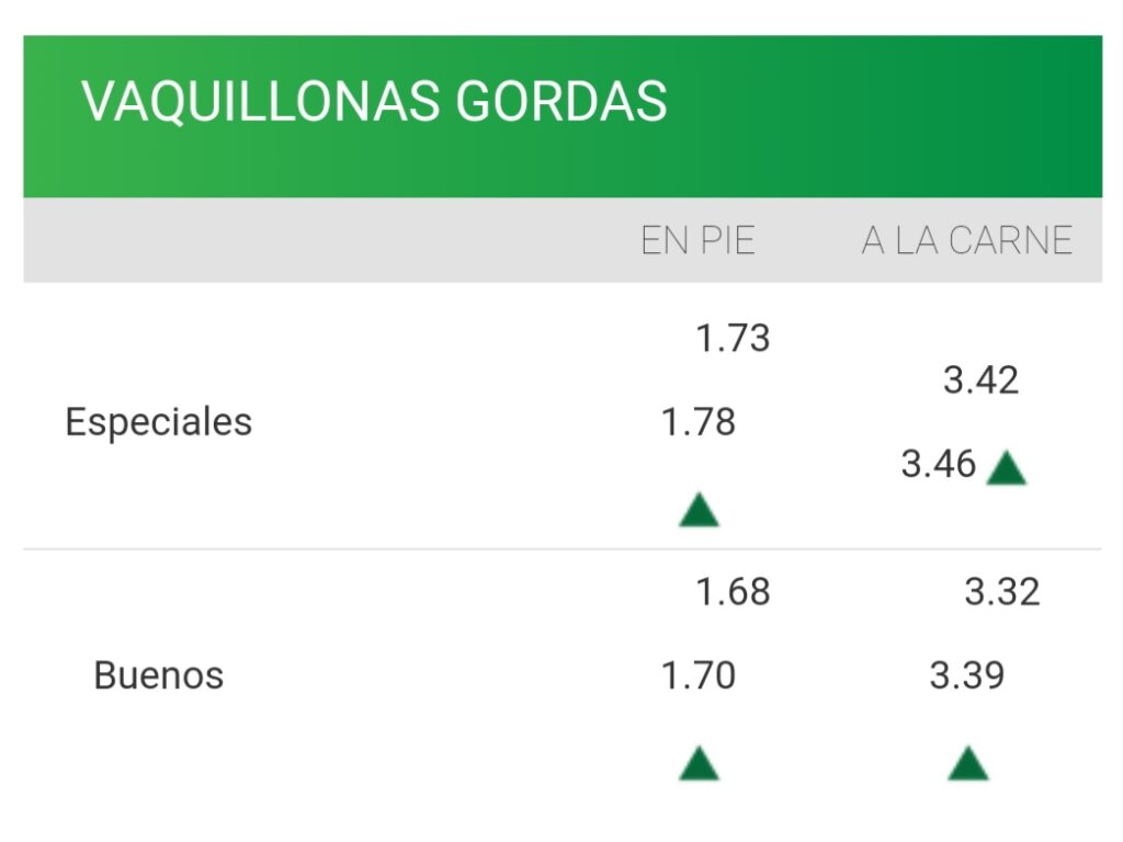 IMAGEN DE LA PLANILLA DE PRECIOS DE LA VAQUILLONA CONYINÚA LA FIRMEZA EN EL MERCADO