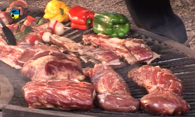Consumo de carnes 2020