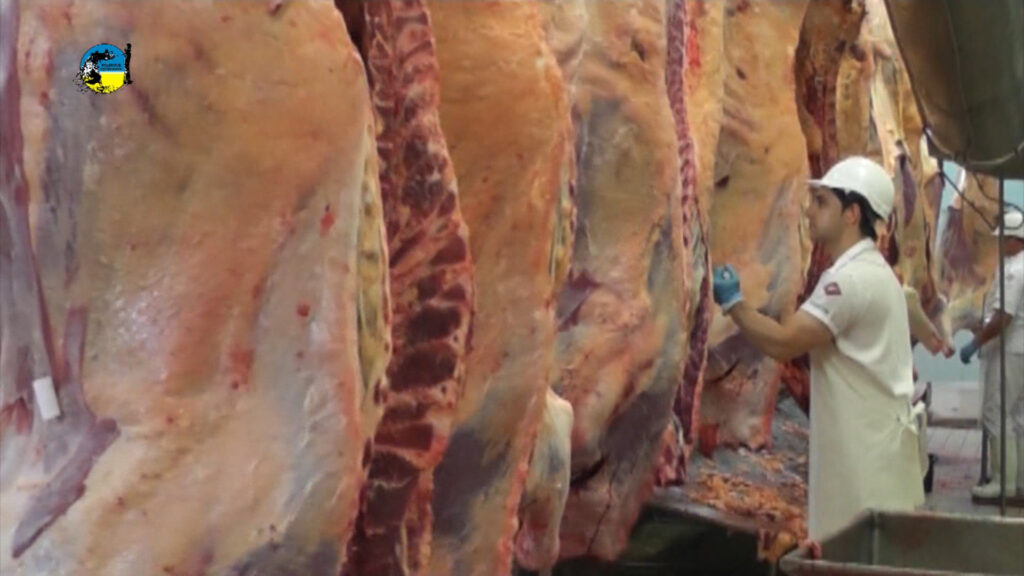 imagen de obrero de la industria frigorífica cortando carne la faena bovina fue 35% inferior