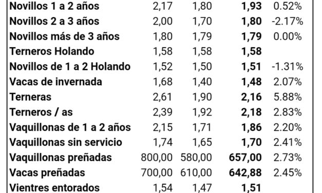 Lote 21 realizó su remate Nro. 162