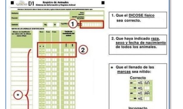 Formularios D1 en el Correo Uruguayo