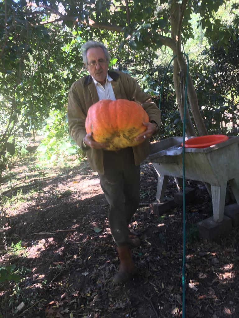 imagen de el productor chumbo Formoso con un zapallo de 25 kilos y medio