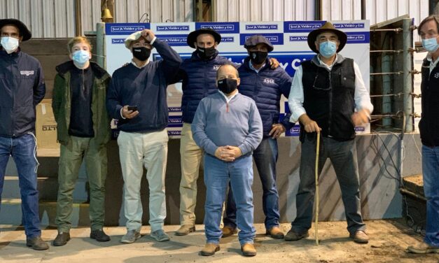 Valdez vendió en Don Tito 915 vacunos