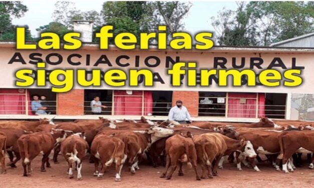 Palenque Rural las ferias siguen firmes