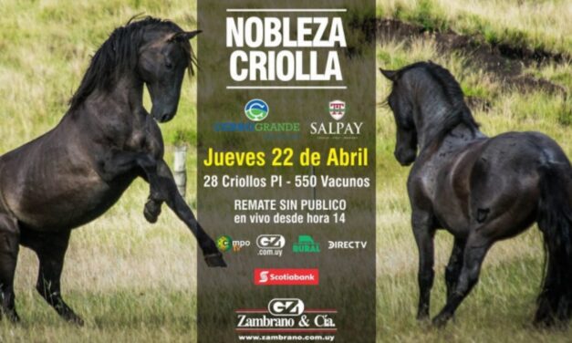 «Nobleza Criolla» Cerro Grande y Salpay