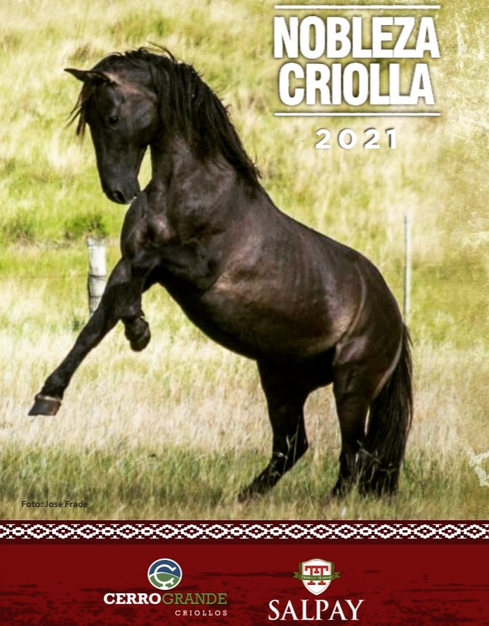 imagen de un caballo de en el campo parado en dos patas de el remate "nobleza criolla"