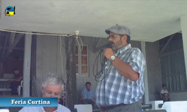 Curtina: buena demanda y precios