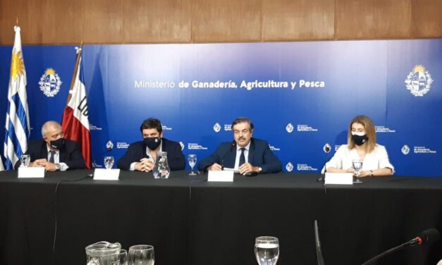 Servicios Ganaderos nuevas autoridades
