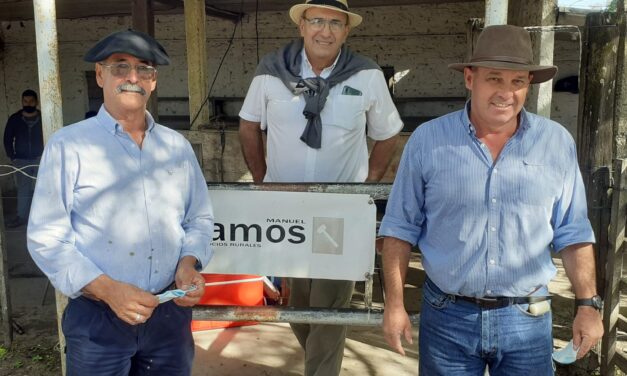 Batoví: Una feria anunciando el invierno