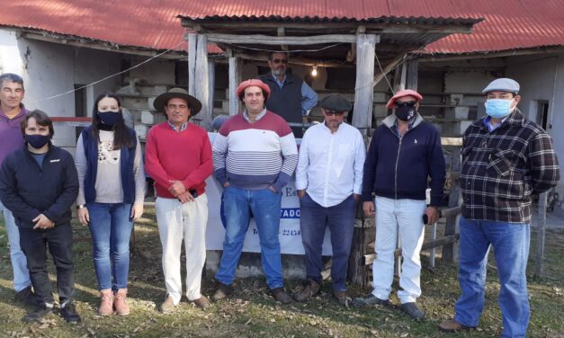 Remate en Zapará: Volaron las ovejas