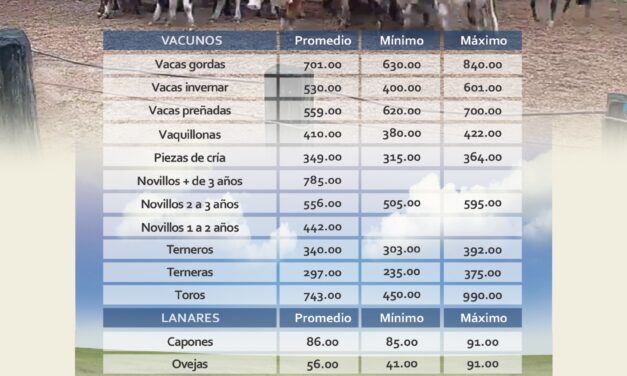 Ansina: con más de 1.000 vacunos