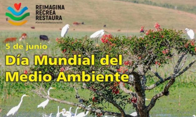 Palenque Rural: Día Mundial del Medio Ambiente