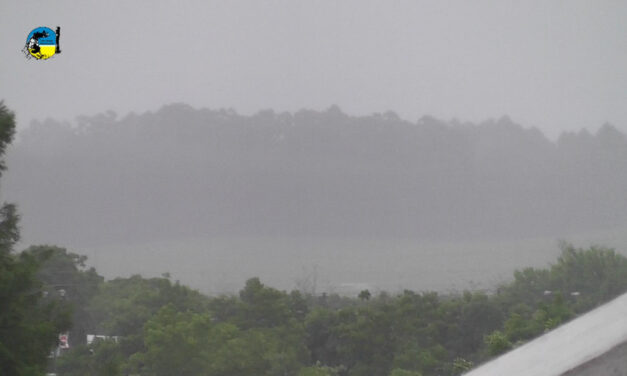 Lluvias caídas en Tacuarembó