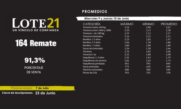 Lote 21 colocó el 91.3% de la oferta