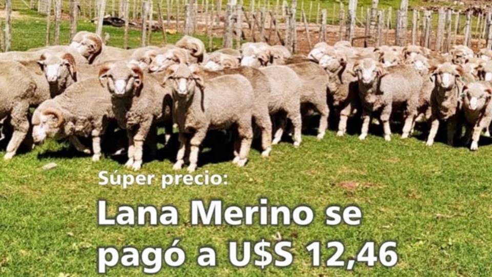 Palenque Rural: Garrapata el problema de hoy