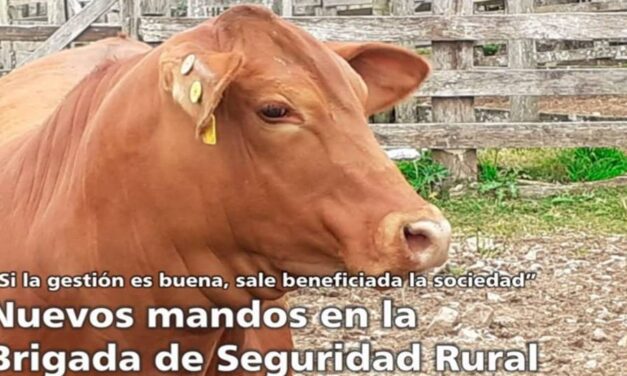Palenque: Brigada de Seguridad Rural