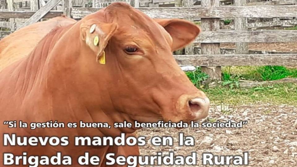 Palenque: Brigada de Seguridad Rural