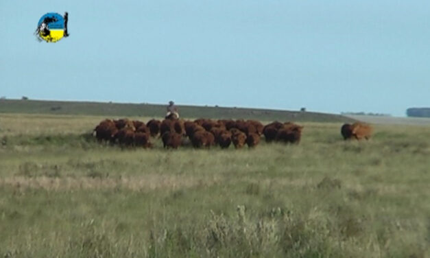 Brigada de Seguridad Rural