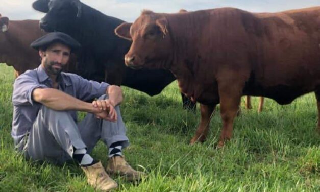 El Coraje exportó genética Brangus a Canadá