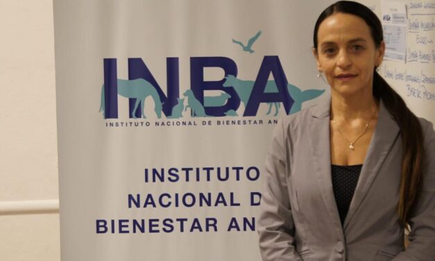 INBA: Reunión del Consejo Directivo