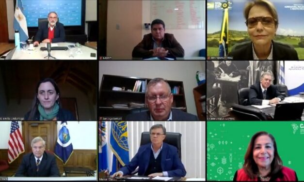 Mattos: movimiento que cuestiona producción cárnica «debe ser rechazado con autoridad»