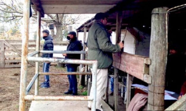 Batoví: Ventas totales en el frío de la tarde