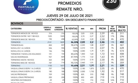 Pantalla Uruguay dispersó el 93.48%