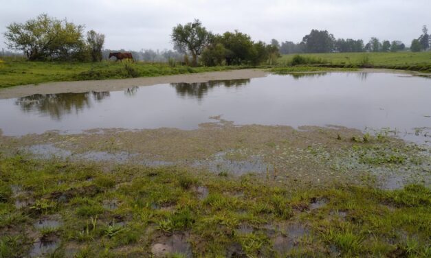 Precipitaciones en Tacuarembó y Uruguay