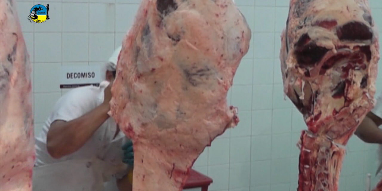Carne Bovina a U$S 4.710 la tonelada
