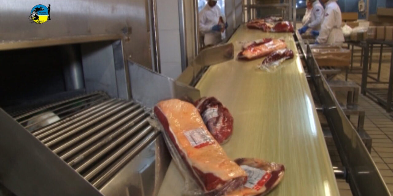 Carne Bovina a U$S 4.318 la tonelada