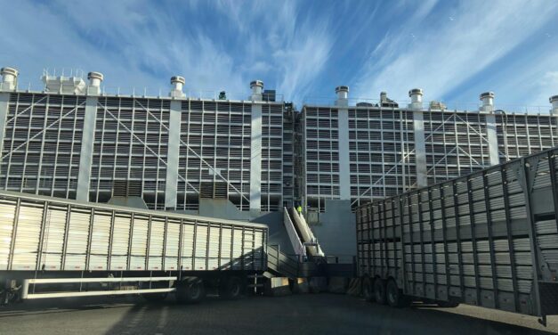 Exportaciones crecieron 59% en julio 2021