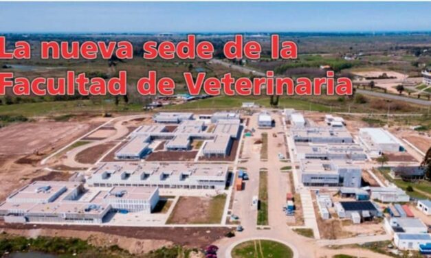 Palenque Rural: Facultad de Veterinaria