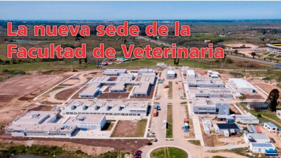 Palenque Rural: Facultad de Veterinaria