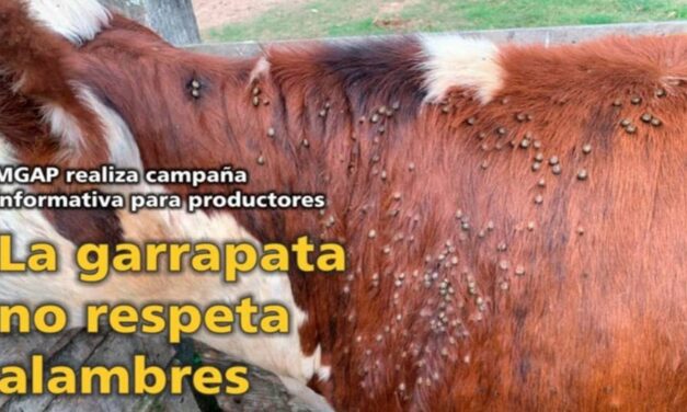 Palenque Rural: La Garrapata