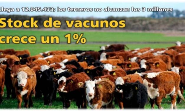 Palenque Rural: Stock de vacunos crece 1%