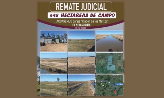 Remate Judicial: 645 hectáreas de campo