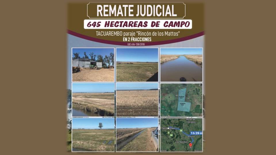 Remate Judicial: 645 hectáreas de campo