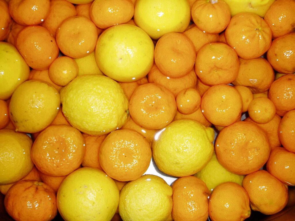 imagen de naranjas diea: cosecha citrícola 2021
