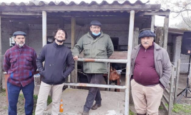 Batoví: Se destacaron las vacas de invernada