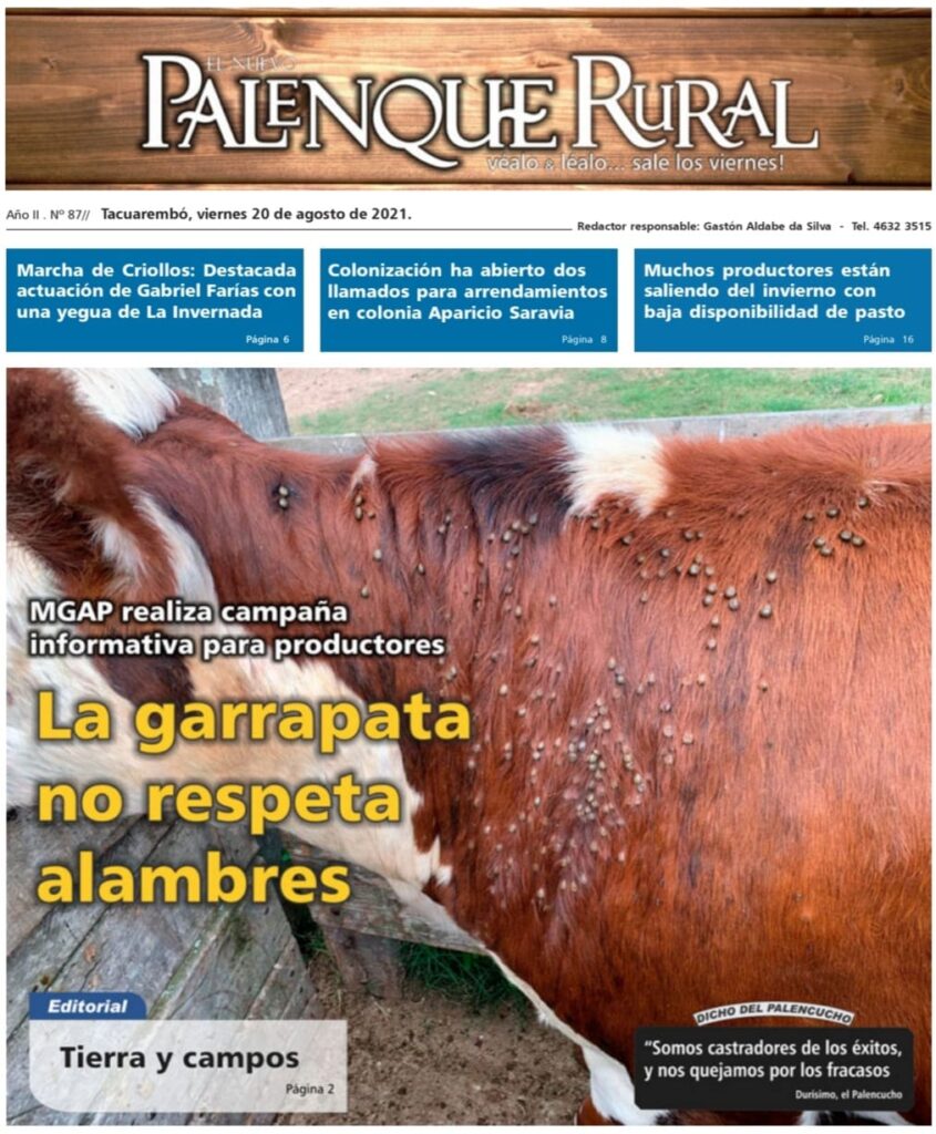 imagen de una vaca con garrapatas foto de la tapa de el palenque rural: la garrapata