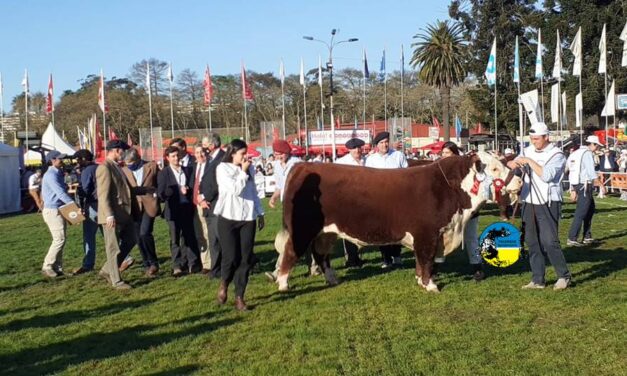 Cabaña La Hormiga: Bicampeona en el Prado