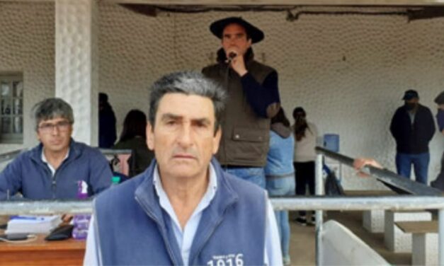 Ansina: Muy buena venta